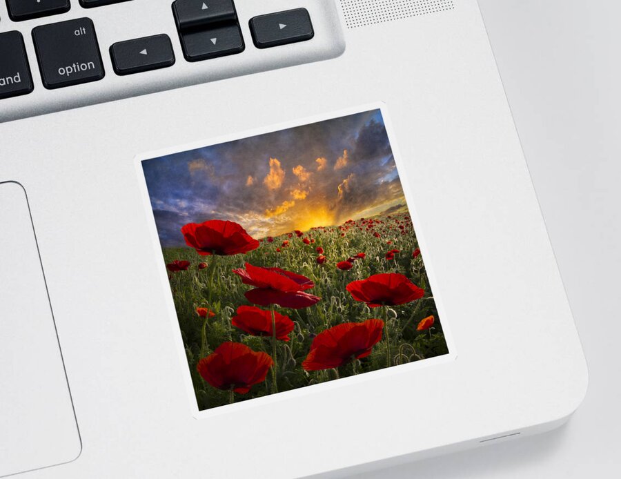 Appalachia Sticker featuring the photograph Poppy Field by Debra and Dave Vanderlaan