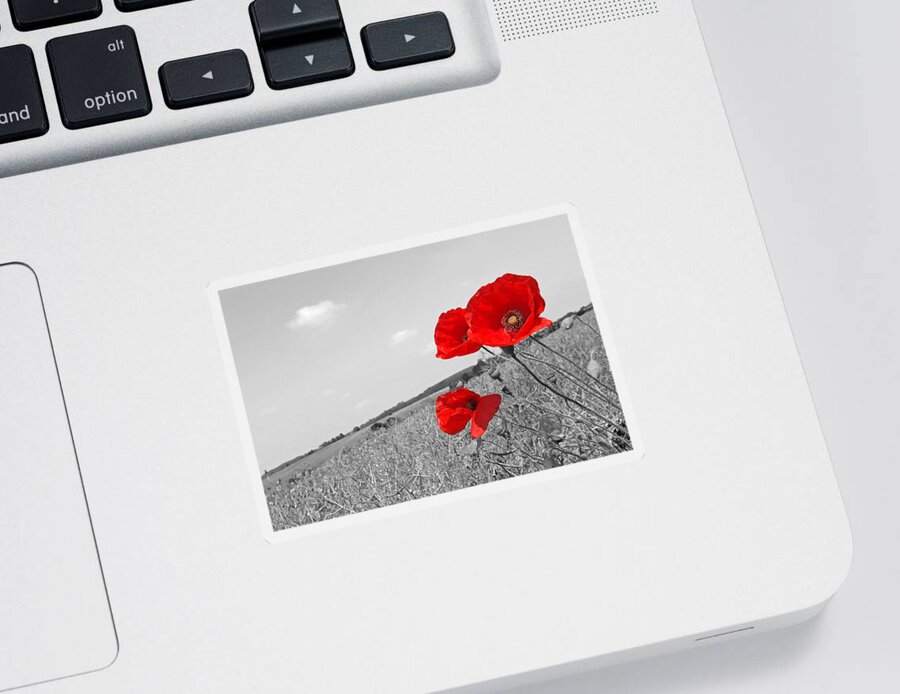 Poppy Field Sticker featuring the photograph Poppy Fields 2 Black and White by Gill Billington