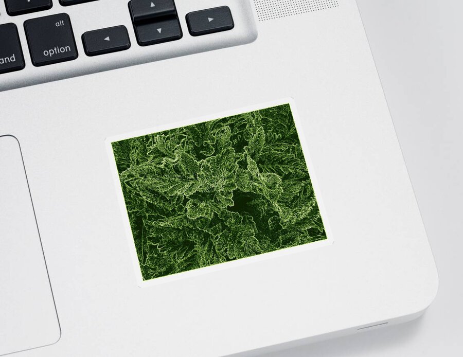 #poppyleaves Sticker featuring the digital art Poppy Leaves by Will Borden