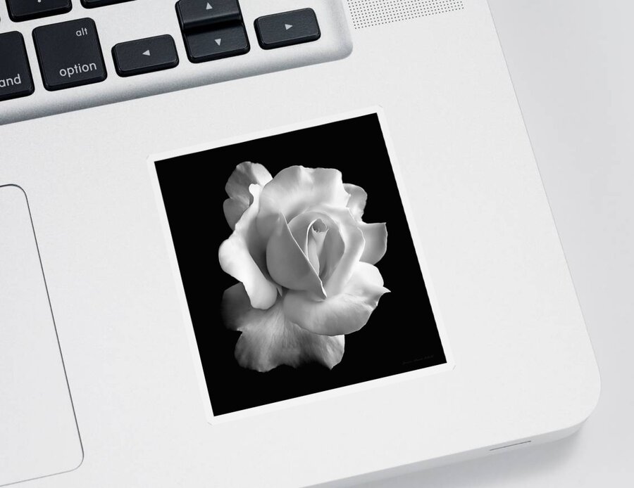 #faatoppicks Sticker featuring the photograph Porcelain Rose Flower Black and White by Jennie Marie Schell