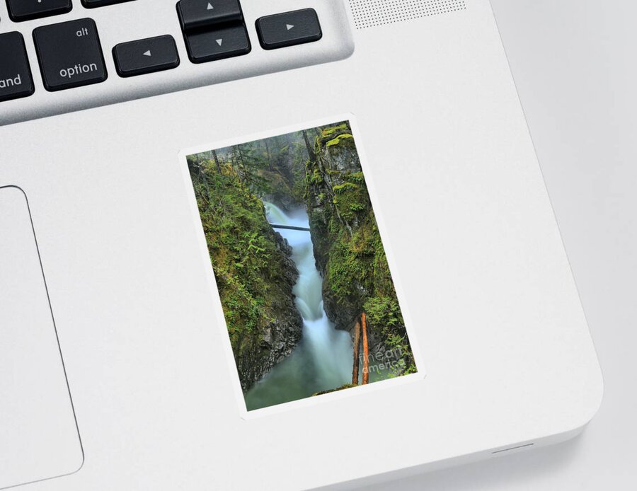 Qualicum Sticker featuring the photograph Port Alberni Rainforest Waterfall by Adam Jewell