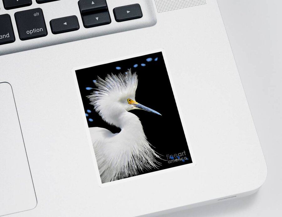 Snowy White Sticker featuring the photograph Portrait of a Snowy White Egret by Jennie Breeze