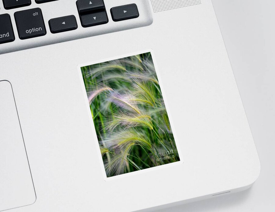 Nature Sticker featuring the photograph Prairie Wind by Deb Halloran