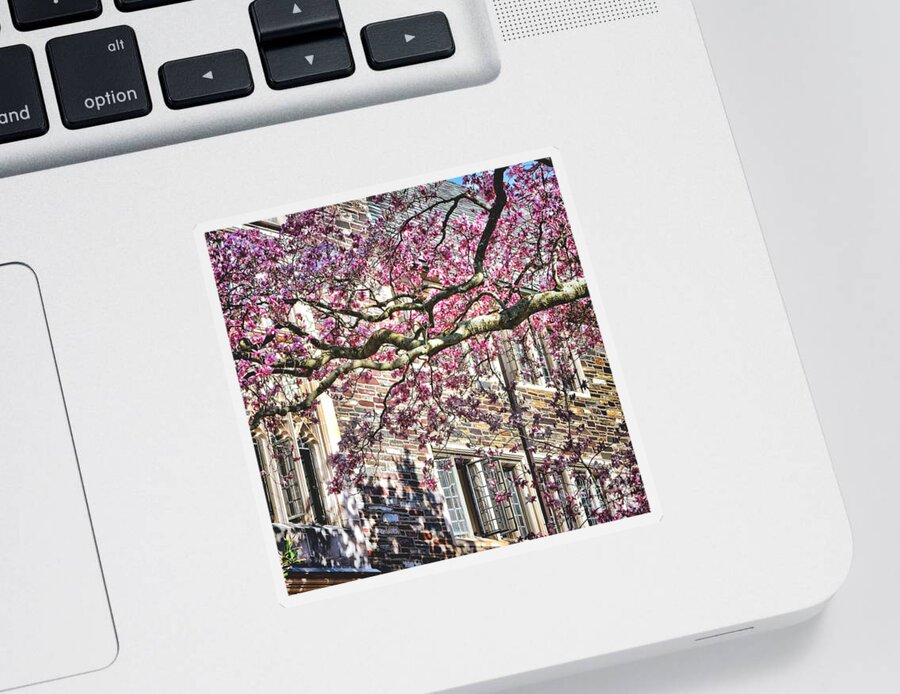 Princeton Sticker featuring the photograph Princeton University Springtime Celebration by Olivier Le Queinec