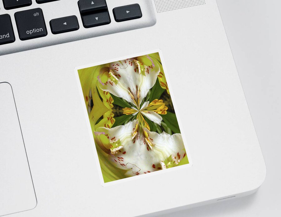 Flower Sticker featuring the photograph Puckered Orchid by Jean Noren by Jean Noren