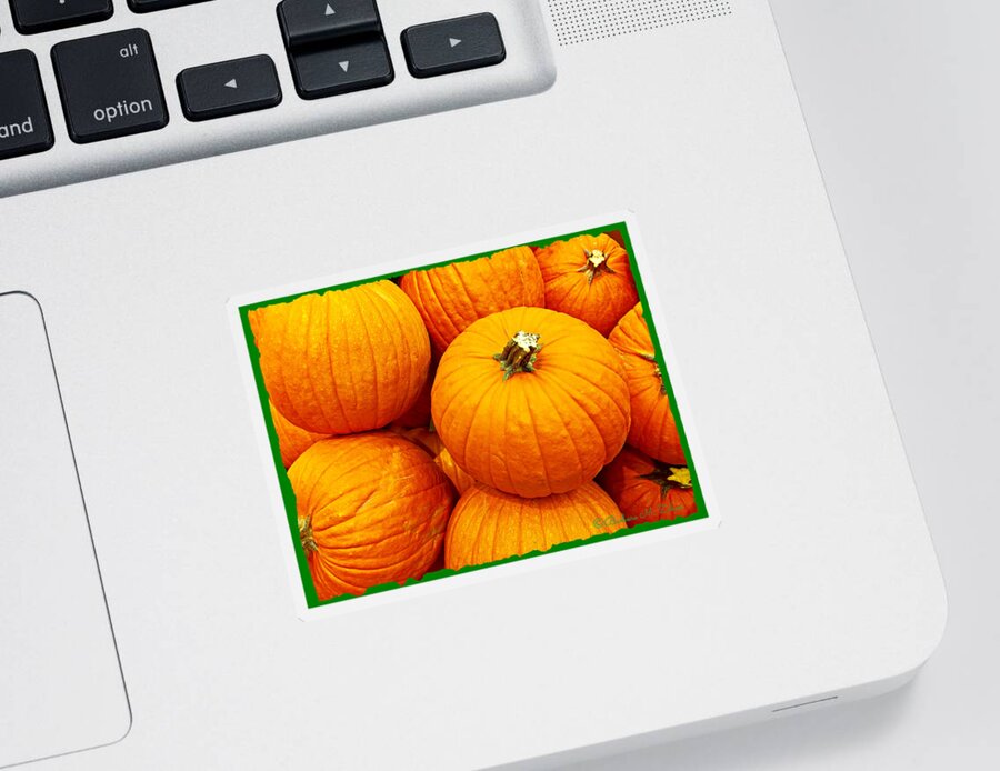 Pumpkins Sticker featuring the photograph Pumpkin Meeting by Barbara Zahno