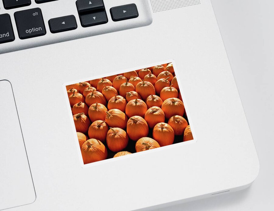Pumpkins Sticker featuring the photograph Pumpkin Pile by Todd Klassy