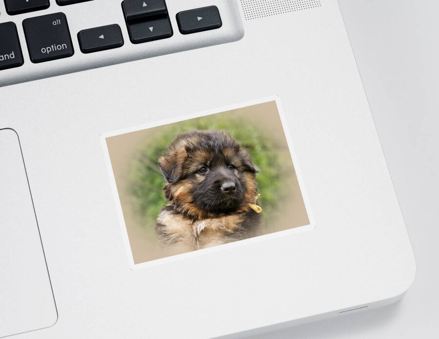 German Shepherd Sticker featuring the photograph Puppy Portrait II by Sandy Keeton