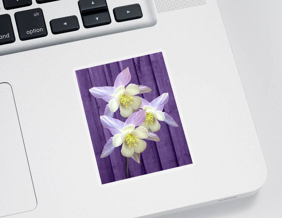 Purple Flower Sticker featuring the photograph Purple Aquilegia by Gill Billington