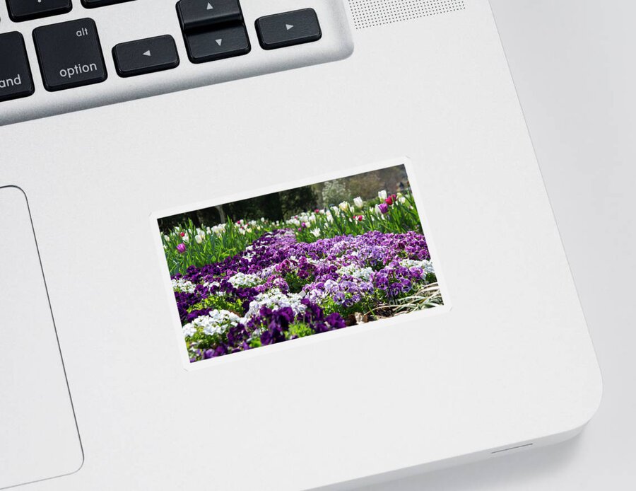 Flowers Sticker featuring the photograph Purple carpet by Agnes Caruso