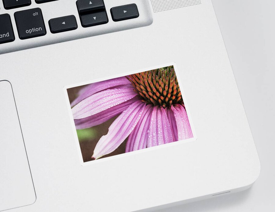 Coneflower Sticker featuring the photograph Purple Coneflower by Cindi Ressler