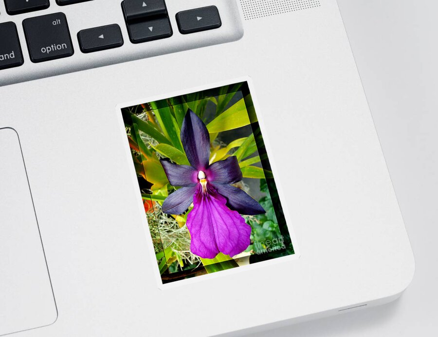 Orchid Sticker featuring the photograph Purple Orchid Majesty by Sue Melvin