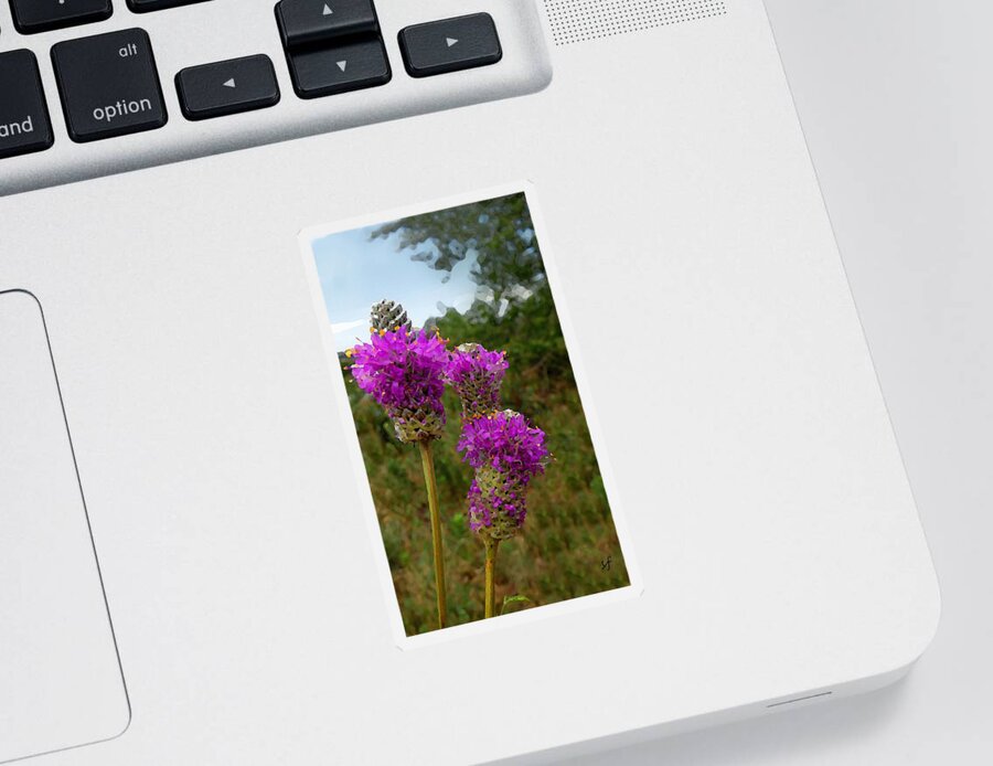 Botanical Sticker featuring the mixed media Purple Prairie Clover by Shelli Fitzpatrick