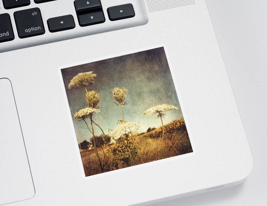 Photography Sticker featuring the photograph Queen Anne's Lace Vintage by Melissa D Johnston