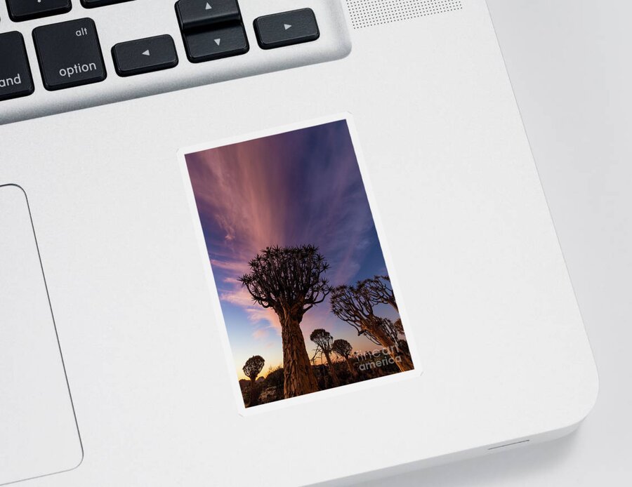Africa Sticker featuring the photograph Quiver Trees 14 by Inge Johnsson