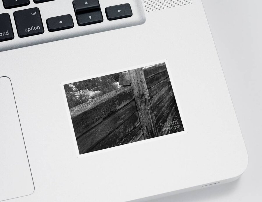 Railroad Ties Sticker featuring the photograph Railroad ties by Robert WK Clark