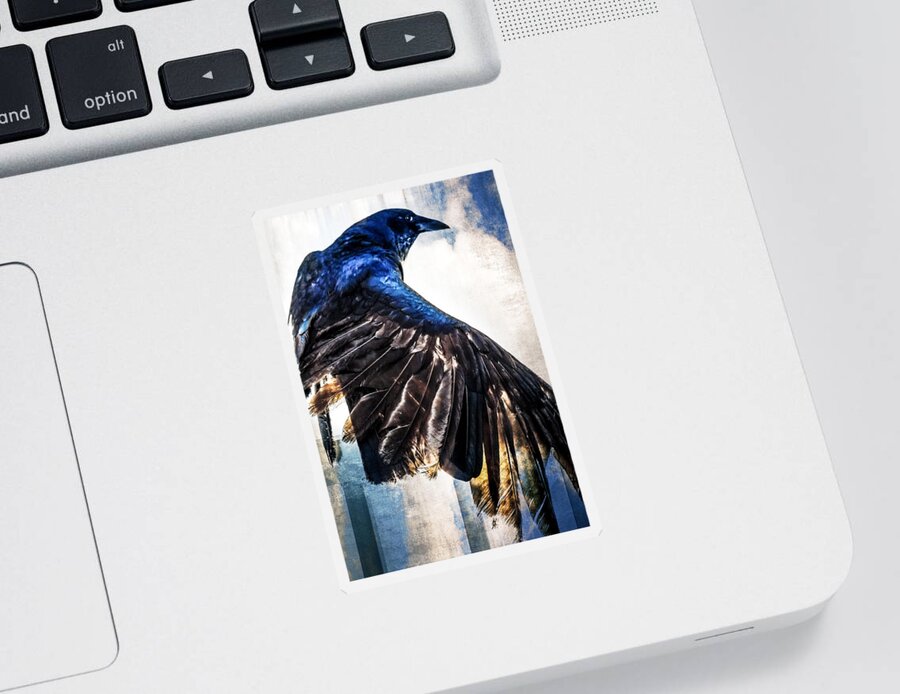 Grackle Sticker featuring the photograph Raven Attitude by Carolyn Marshall