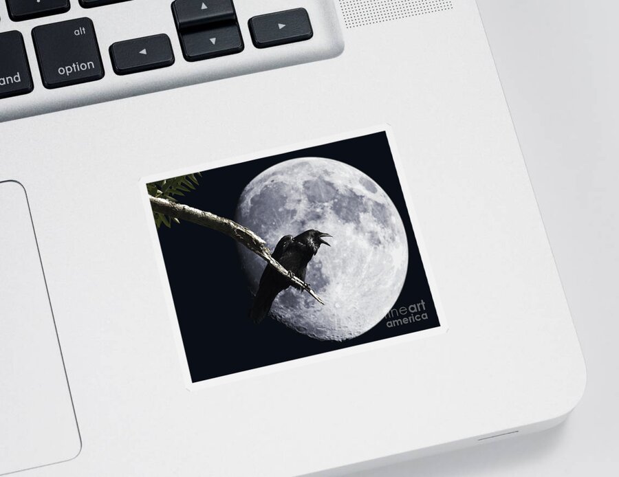 Wingsdomain Sticker featuring the photograph Raven Barking at the Moon by Wingsdomain Art and Photography