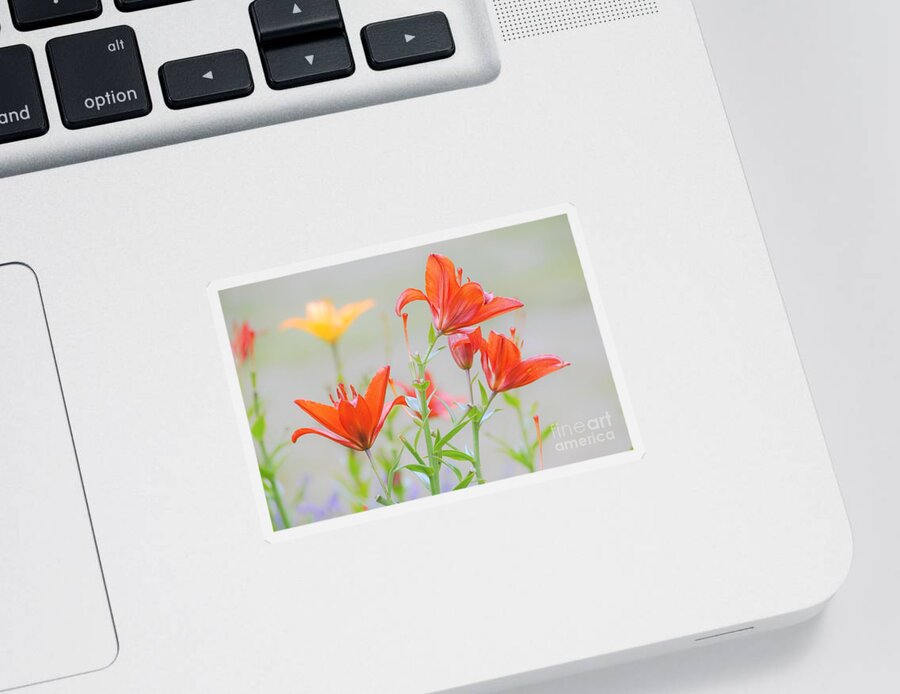Flowers Sticker featuring the photograph Reaching Higher by Merle Grenz