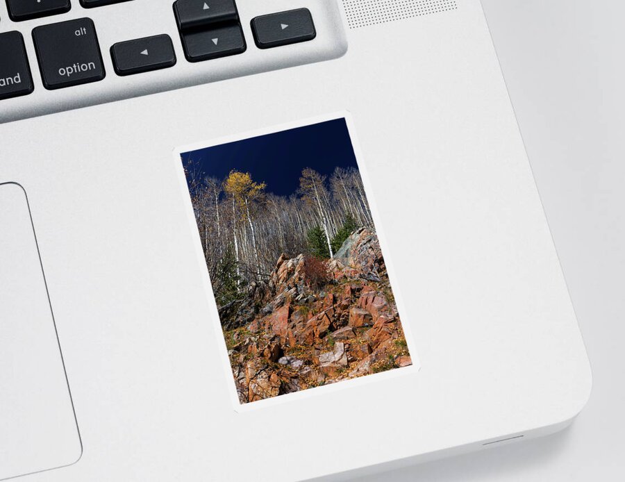 Aspen Sticker featuring the photograph Reaching Into Blue by Stephen Anderson