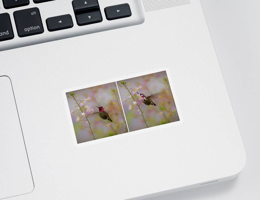 Hummingbird Sticker featuring the photograph Ready Set Feed by Mike Gifford
