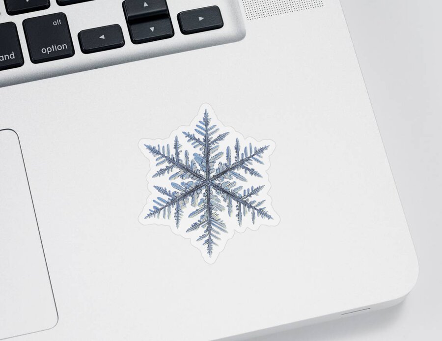 Snowflake Sticker featuring the photograph Real snowflake - Silverware black by Alexey Kljatov