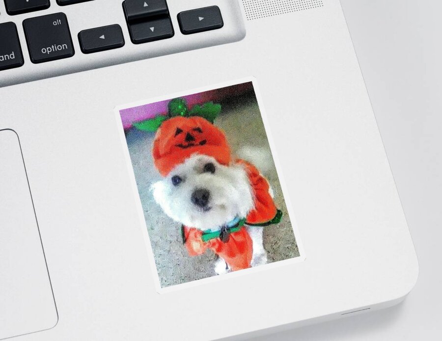 Coton De Tulear Sticker featuring the photograph Really Halloween by Suzanne Berthier