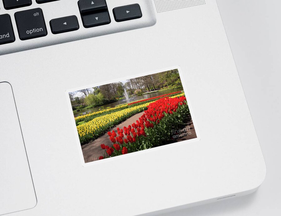 Red Sticker featuring the photograph Red and yellow tulips on the river bank in Keukenhof Gardens by Louise Heusinkveld
