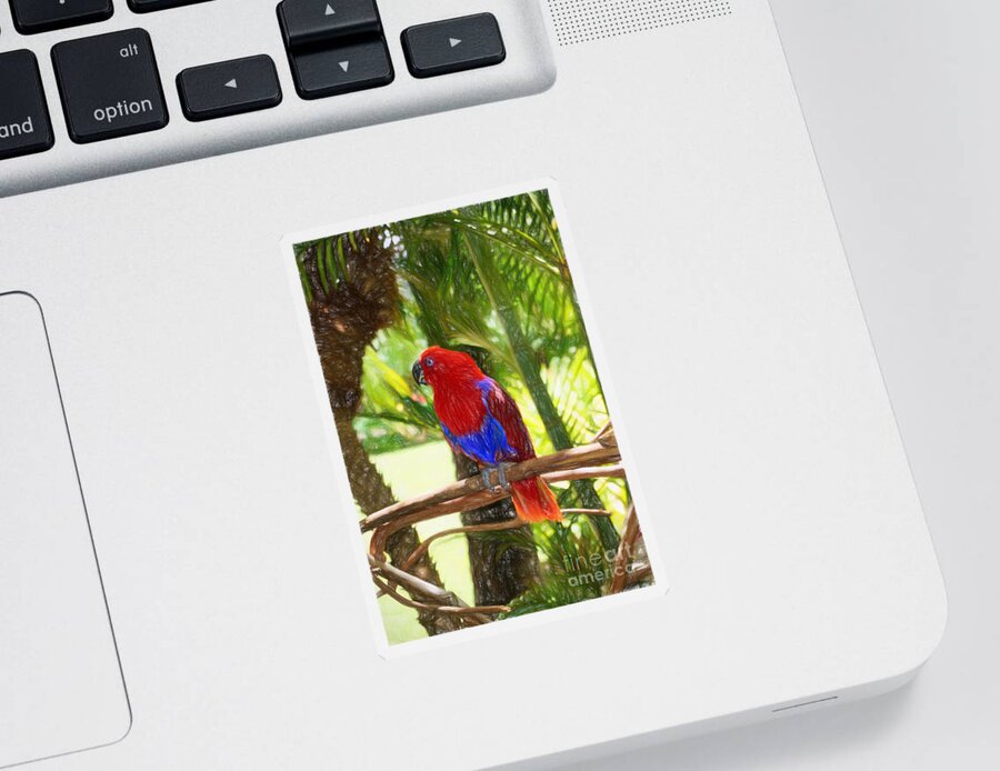 Hawaii Sticker featuring the photograph Red Eclectus Parrot by Sue Melvin
