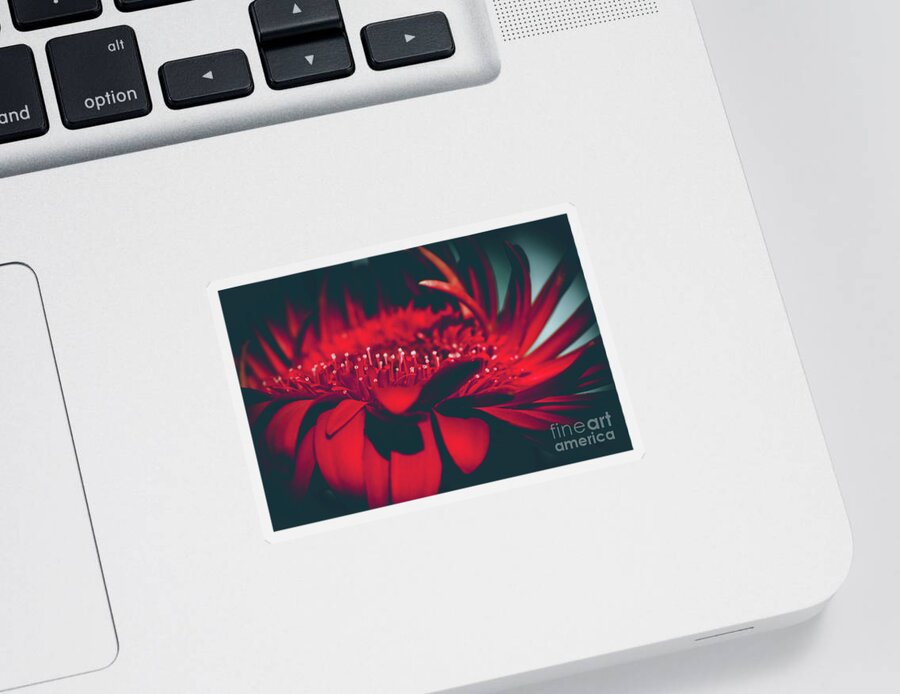 Red Flowers Sticker featuring the photograph Red Flowers Parametric by Sharon Mau