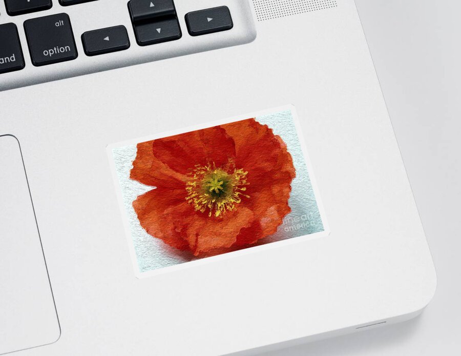 Poppy Sticker featuring the mixed media Red Poppy by Linda Woods