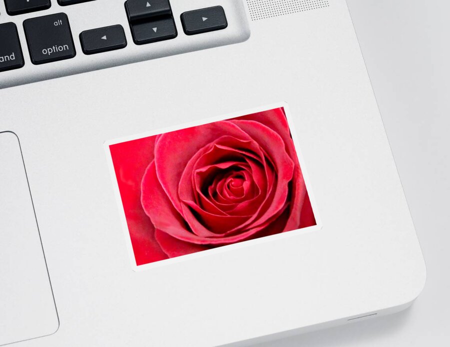 Love Sticker featuring the photograph Red Rose by DJ Florek
