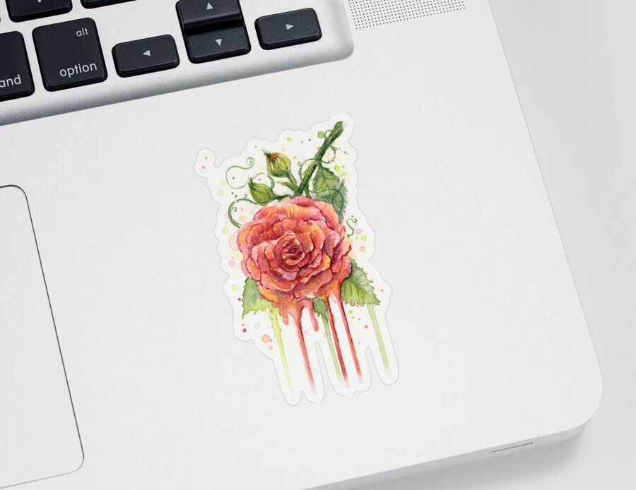Rose Sticker featuring the painting Red Rose Dripping Watercolor by Olga Shvartsur