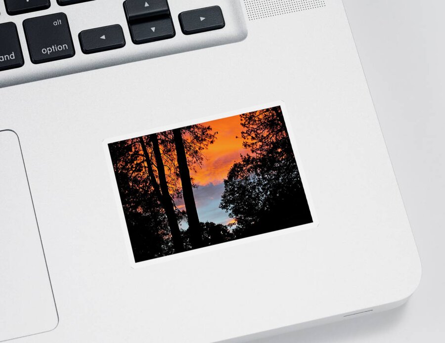 Sunset Sticker featuring the photograph Red Sky at Night by Michele Myers