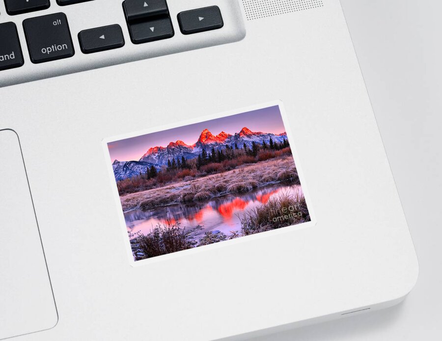 Grand Teton National Park Sticker featuring the photograph Red Teton Peaks In The Willows Landscape by Adam Jewell