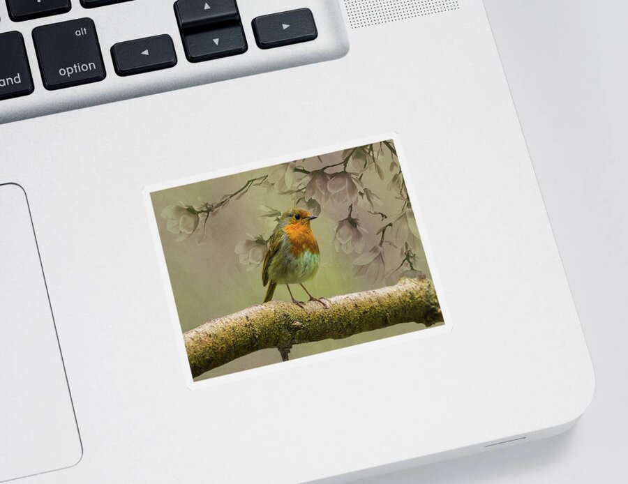 Redbreast Sticker featuring the photograph Redbreast Bird by Movie Poster Prints