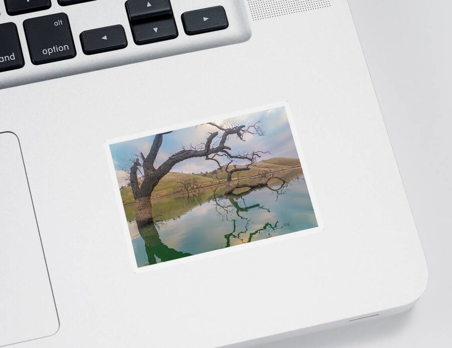 Landscape Sticker featuring the photograph Reflections at Los Vaqueros by Marc Crumpler