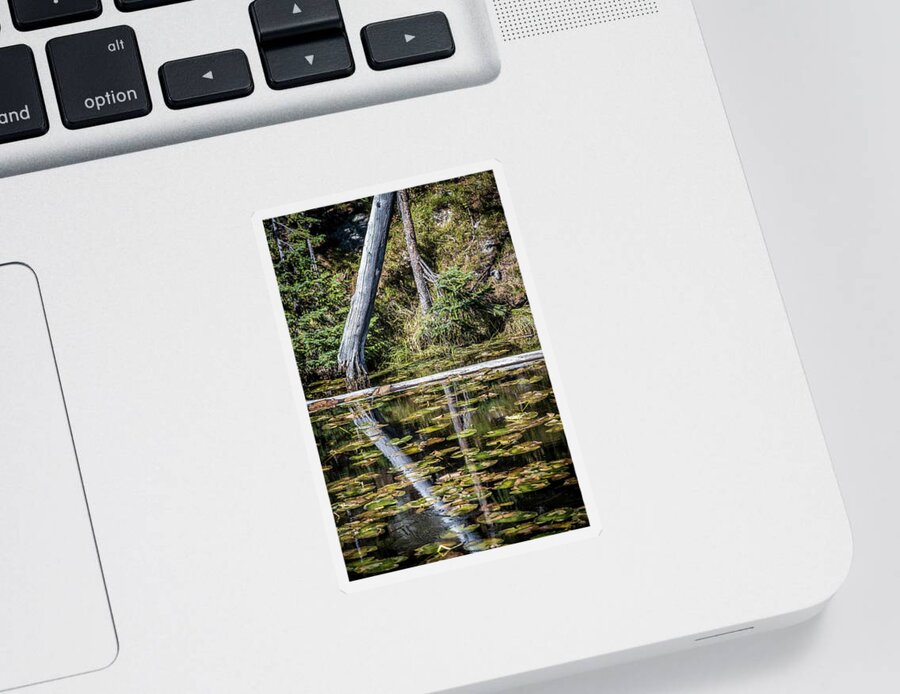 Autumn Sticker featuring the photograph Reflections by Paul Freidlund