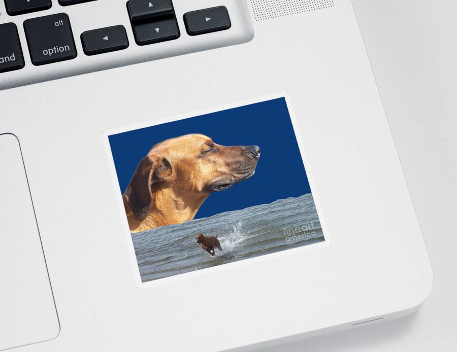 Pet Sticker featuring the photograph Rhodesian Ridgeback by Mary Mikawoz