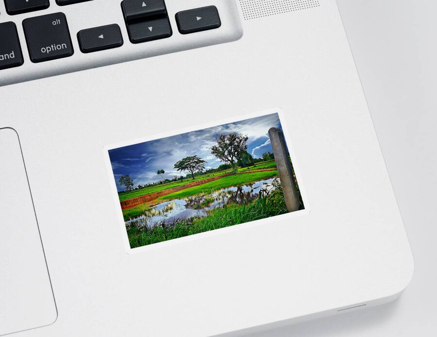 Rural Sticker featuring the photograph Rice Paddy View by Ian Gledhill