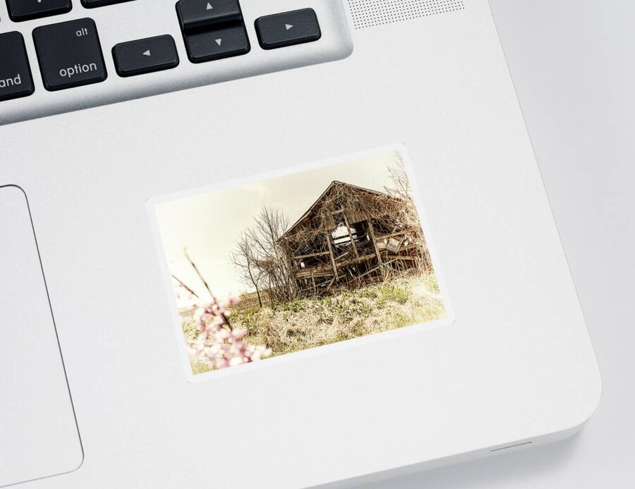Barn Sticker featuring the photograph Rickety Shack by Pamela Williams