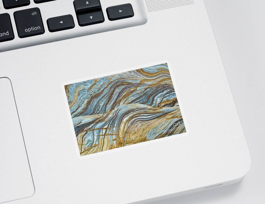Sandstone Sticker featuring the photograph Riding The Wave by Tim Gainey