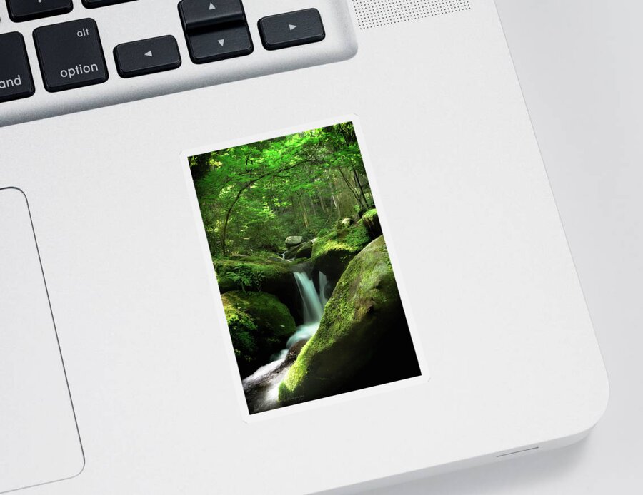 Lush Sticker featuring the photograph Roaring Fork by C Renee Martin