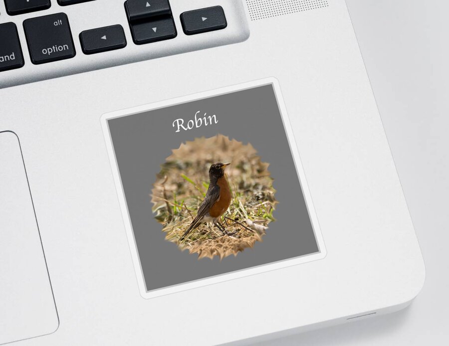 Robin Sticker featuring the photograph Robin by Holden The Moment
