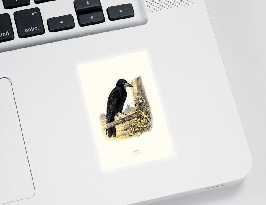 Birds Sticker featuring the digital art Rook Restored by Pablo Avanzini