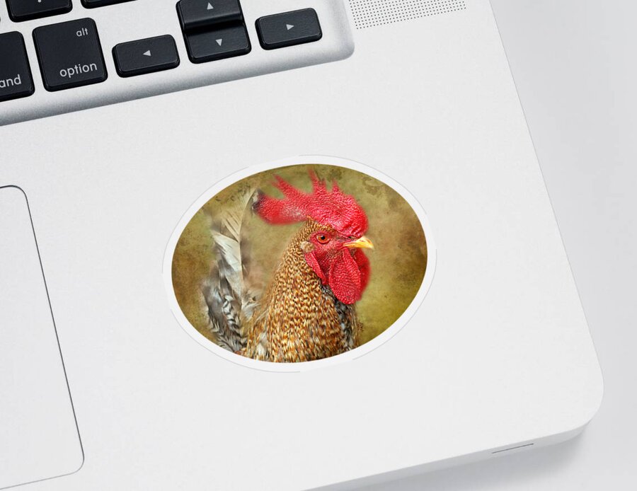 Rooster Profile Sticker featuring the photograph Rooster Profile by Anita Faye