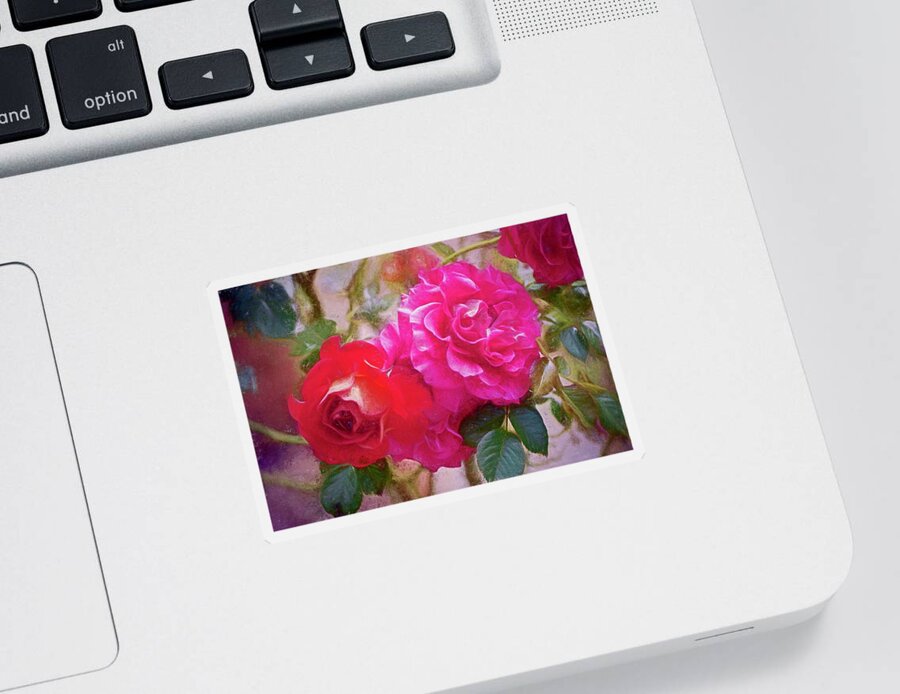 Floral Sticker featuring the photograph Rose 373 by Pamela Cooper