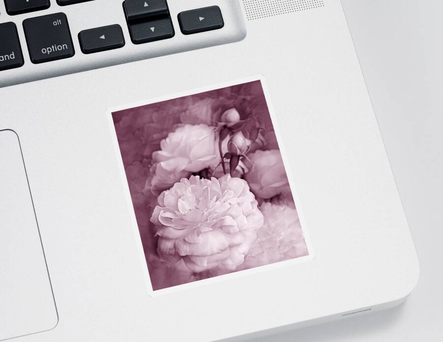Rose Sticker featuring the photograph Rose Bouquet Flowers Plum by Jennie Marie Schell