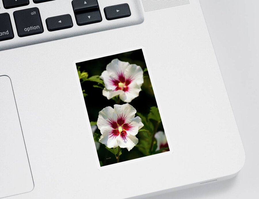 Hibiscus Sticker featuring the photograph Rose of Sharon by Christina Rollo