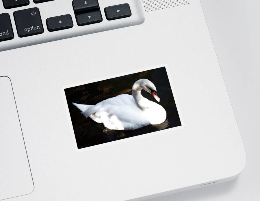 Swan Sticker featuring the photograph Royal Swan by La Dolce Vita